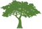 Tree Of Life USA Logo