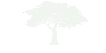 Tree Of Life USA Logo